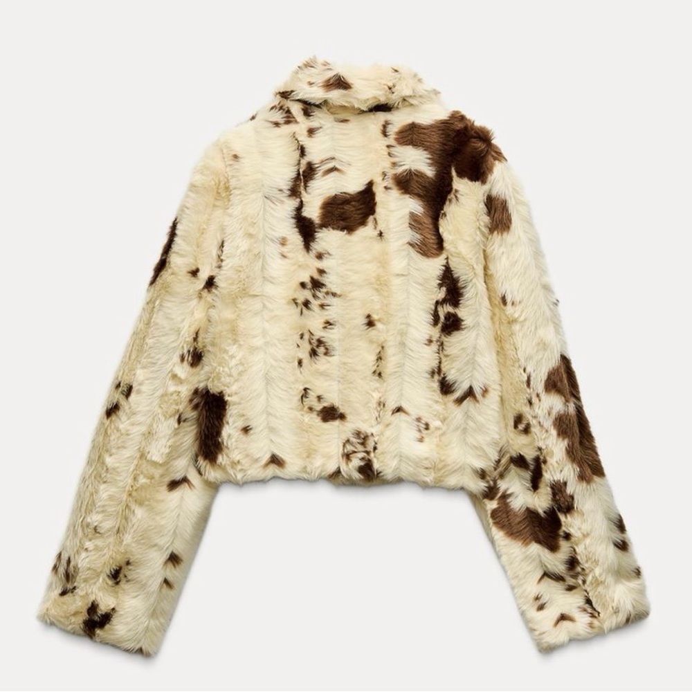 Zara Cream Teddy Jacket with Brown Accents - Picture 5 of 8